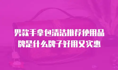 男款手拿包清洁推荐使用品牌是什么牌子好用又实惠