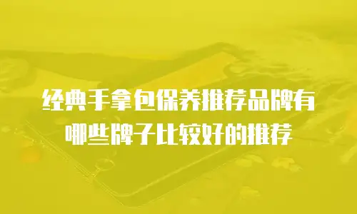经典手拿包保养推荐品牌有哪些牌子比较好的推荐