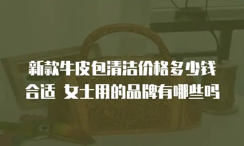 新款牛皮包清洁价格多少钱合适 女士用的品牌有哪些吗