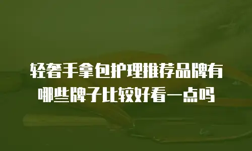 轻奢手拿包护理推荐品牌有哪些牌子比较好看一点吗