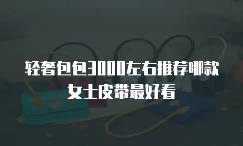 轻奢包包3000左右推荐哪款女士皮带最好看