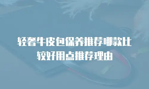 轻奢牛皮包保养推荐哪款比较好用点推荐理由