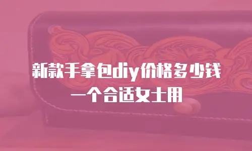 新款手拿包diy价格多少钱一个合适女士用