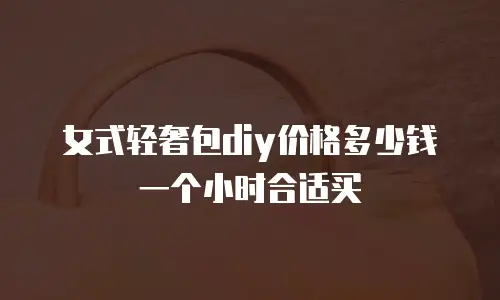 女式轻奢包diy价格多少钱一个小时合适买
