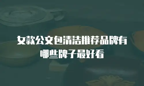 女款公文包清洁推荐品牌有哪些牌子最好看