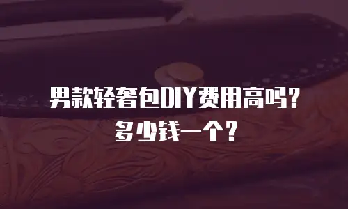 男款轻奢包DIY费用高吗？多少钱一个？
