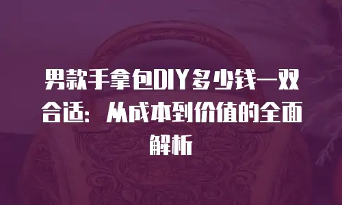 男款手拿包DIY多少钱一双合适：从成本到价值的全面解析