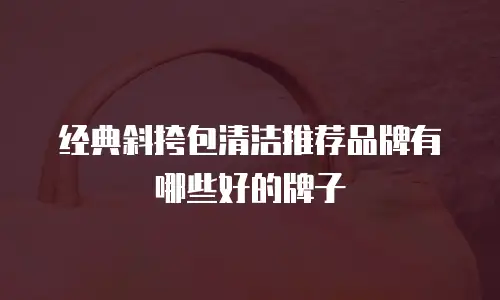 经典斜挎包清洁推荐品牌有哪些好的牌子