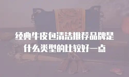 经典牛皮包清洁推荐品牌是什么类型的比较好一点