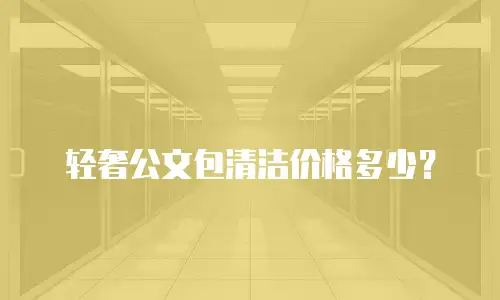 轻奢公文包清洁价格多少？