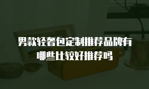 男款轻奢包定制推荐品牌有哪些比较好推荐吗