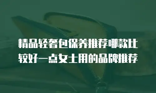 精品轻奢包保养推荐哪款比较好一点女士用的品牌推荐