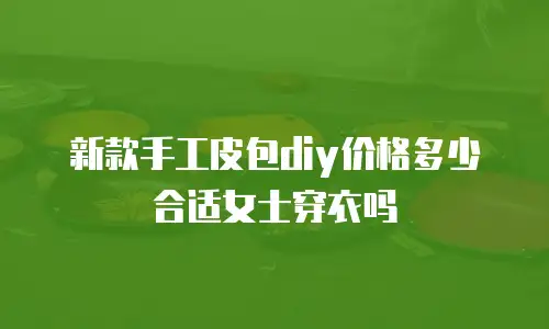 新款手工皮包diy价格多少合适女士穿衣吗