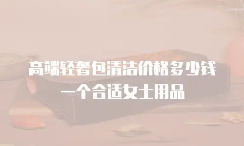 高端轻奢包清洁价格多少钱一个合适女士用品