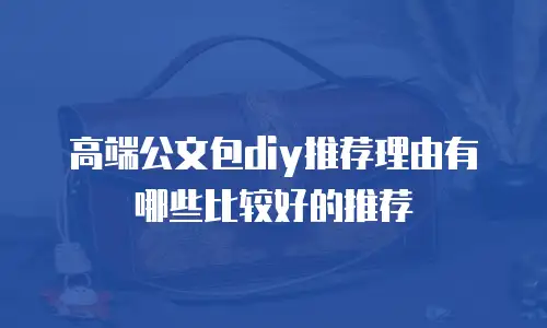 高端公文包diy推荐理由有哪些比较好的推荐