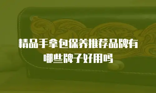 精品手拿包保养推荐品牌有哪些牌子好用吗