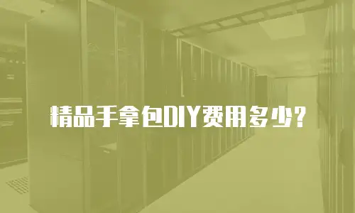 精品手拿包DIY费用多少？