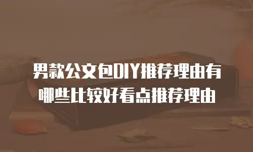 男款公文包DIY推荐理由有哪些比较好看点推荐理由