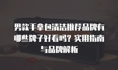 男款手拿包清洁推荐品牌有哪些牌子好看吗？实用指南与品牌解析