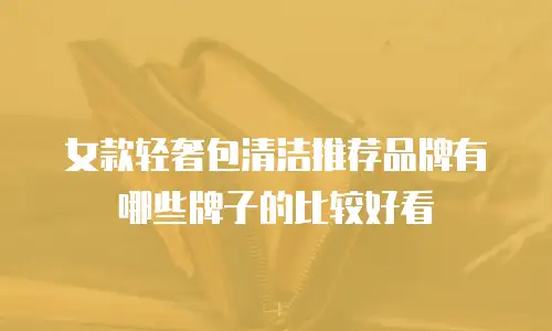 女款轻奢包清洁推荐品牌有哪些牌子的比较好看