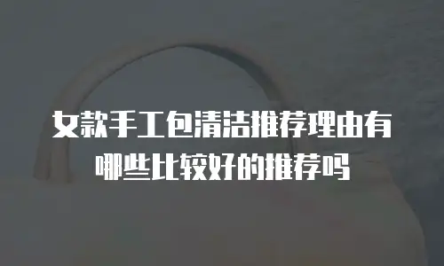女款手工包清洁推荐理由有哪些比较好的推荐吗