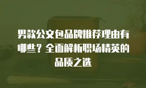 男款公文包品牌推荐理由有哪些？全面解析职场精英的品质之选