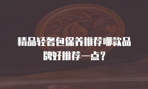 精品轻奢包保养推荐哪款品牌好推荐一点？