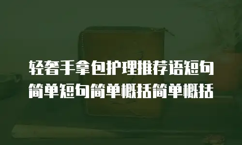 轻奢手拿包护理推荐语短句简单短句简单概括简单概括
