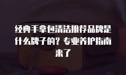 经典手拿包清洁推荐品牌是什么牌子的？专业养护指南来了