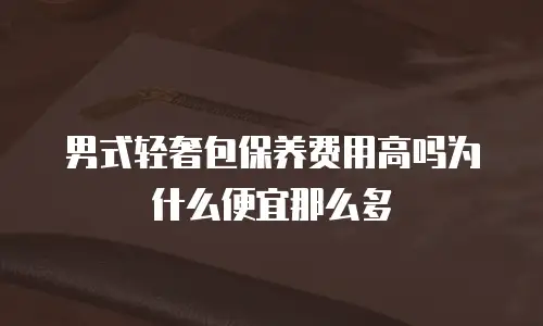 男式轻奢包保养费用高吗为什么便宜那么多