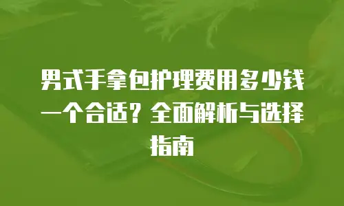 男式手拿包护理费用多少钱一个合适？全面解析与选择指南