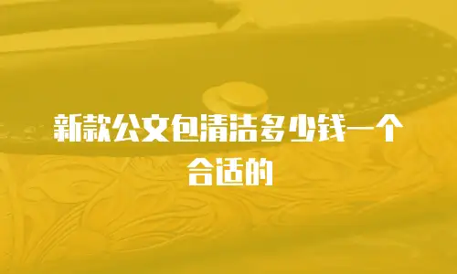 新款公文包清洁多少钱一个合适的