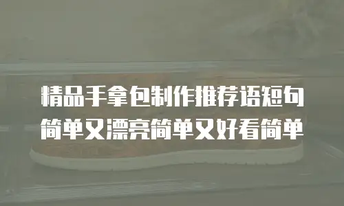 精品手拿包制作推荐语短句简单又漂亮简单又好看简单
