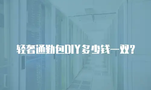 轻奢通勤包DIY多少钱一双？