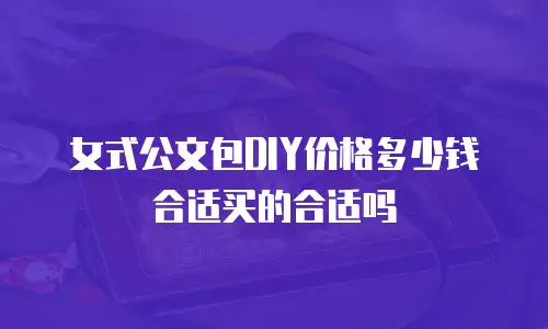 女式公文包DIY价格多少钱合适买的合适吗