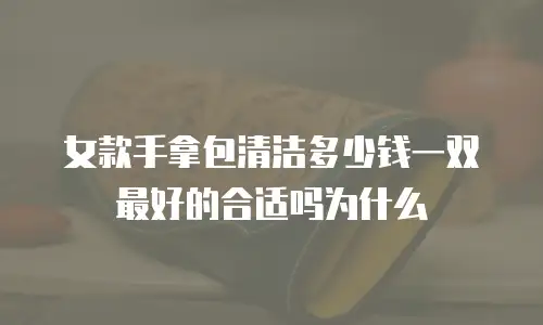 女款手拿包清洁多少钱一双最好的合适吗为什么