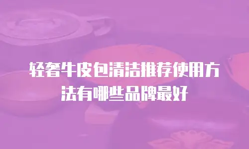 轻奢牛皮包清洁推荐使用方法有哪些品牌最好