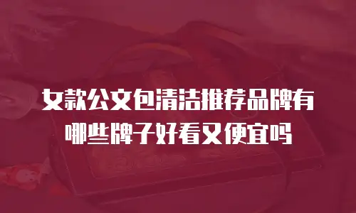 女款公文包清洁推荐品牌有哪些牌子好看又便宜吗
