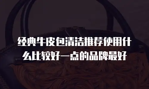 经典牛皮包清洁推荐使用什么比较好一点的品牌最好