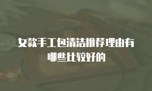 女款手工包清洁推荐理由有哪些比较好的