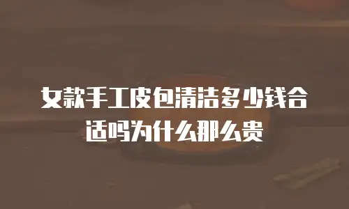 女款手工皮包清洁多少钱合适吗为什么那么贵