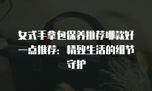 女式手拿包保养推荐哪款好一点推荐：精致生活的细节守护