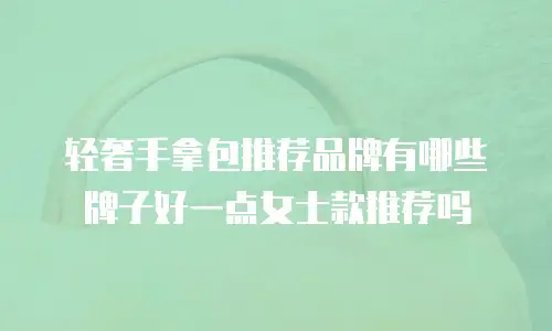 轻奢手拿包推荐品牌有哪些牌子好一点女士款推荐吗