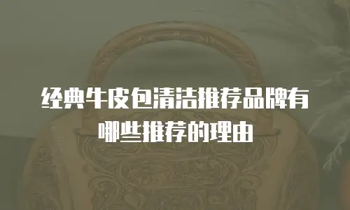 经典牛皮包清洁推荐品牌有哪些推荐的理由