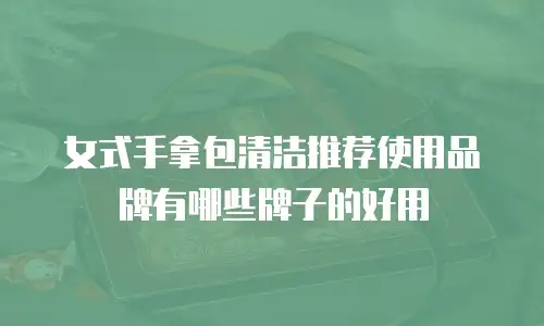 女式手拿包清洁推荐使用品牌有哪些牌子的好用