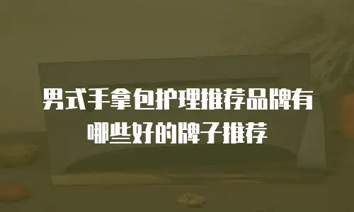男式手拿包护理推荐品牌有哪些好的牌子推荐