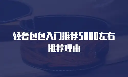 轻奢包包入门推荐5000左右推荐理由