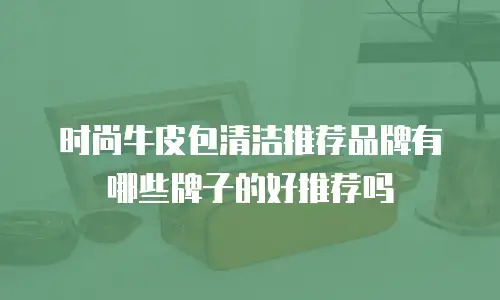 时尚牛皮包清洁推荐品牌有哪些牌子的好推荐吗