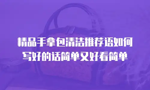 精品手拿包清洁推荐语如何写好的话简单又好看简单