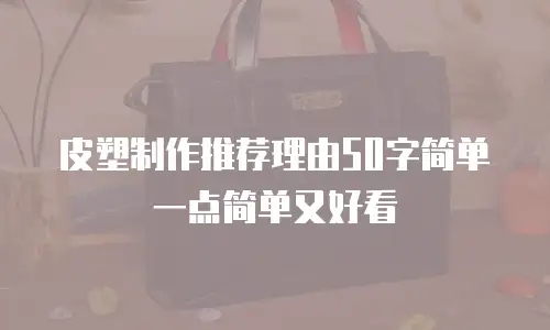 皮塑制作推荐理由50字简单一点简单又好看